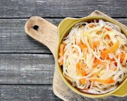 TOP 6 ricette di cavolo sottaceto con aspirina per l'inverno