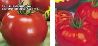 Descrição da variedade de tomate Tmae 683 f1 novo do Japão