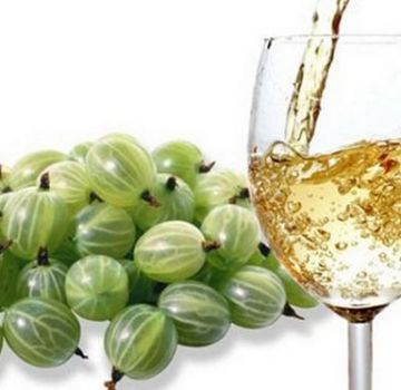 15 receitas fáceis passo a passo para fazer vinho de groselha em casa