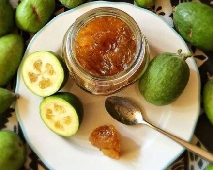 10 ricette per preparare un purè di feijoa con zucchero per l'inverno