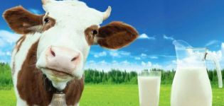 The chemical formula of milk and the table of substances in the composition per 100 grams, temperature