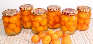 TOP 10 recipes for making apricots in syrup for the winter with slices