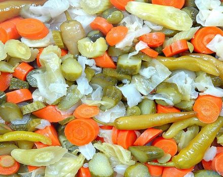 TOP 10 receptov krok za krokom na konzervovanie turshi na zimu so sterilizáciou aj bez nej