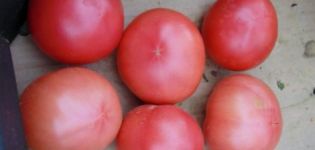 Características e descrição da variedade de tomate Favorita