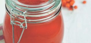 Ricette semplici per preparare la marmellata di olivello spinoso per l'inverno a casa