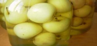 Корак по корак рецепт за кухање незрелог компота од јабуке за зиму