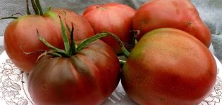 Description of the Chernomor tomato variety, its cultivation and yield