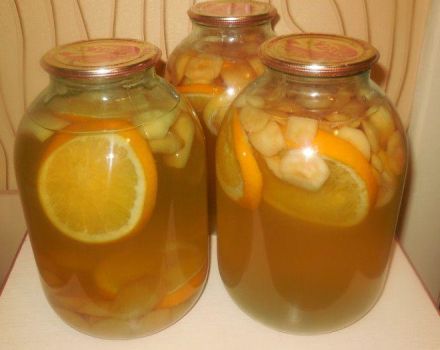 TOP 6 kompotų receptai, pavyzdžiui, abrikosų ir apelsinų „Fanta“ žiemai