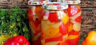 Schritt-für-Schritt-Rezepte für die Zubereitung von Paprika in Honig zu Hause für den Winter