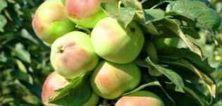 Description of the columnar apple variety Priokskoe and its yield, advantages and disadvantages