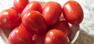 Најпродуктивније су ниско растуће и незасићене слатке сорте парадајза из серије Непас