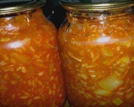 9 bästa recept för att laga mat tomater med ris för vintern