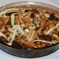Ein einfaches Rezept für die Herstellung von eingelegten Pilzen für den Winter