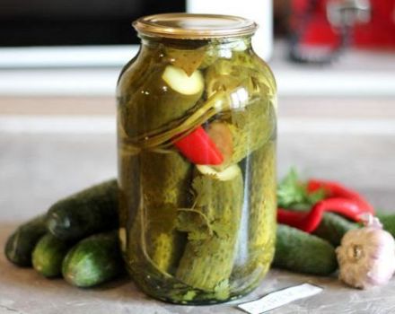 TOP 12 Rezepte für süß eingelegte Gurken für den Winter zu Hause
