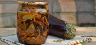 TOP 5 quick recipes for cooking eggplant pickled with garlic for the winter