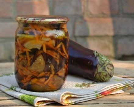 TOP 5 γρήγορες συνταγές για το μαγείρεμα μελιτζάνας τουρσί με σκόρδο για το χειμώνα