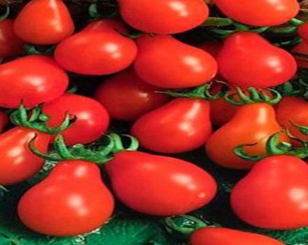 Beschreibung der Tomatensorte Canning Pear, ihre Eigenschaften und Produktivität