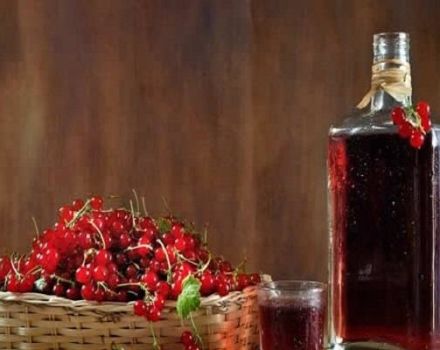 TOP 2 recipes for making wine from raspberries and currants at home