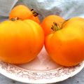 Charakteristika a opis odrody paradajok Orange Strawberry German, jej výnos