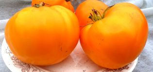 Charakterystyka i opis odmiany pomidora Orange Strawberry German, jej plon