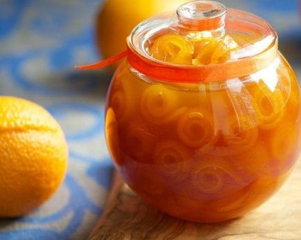 20 most delicious step-by-step orange jam recipes for the winter