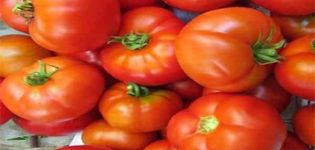 Beschreibung der Tomatensorte Madonna f1, Merkmale des Anbaus und der Pflege