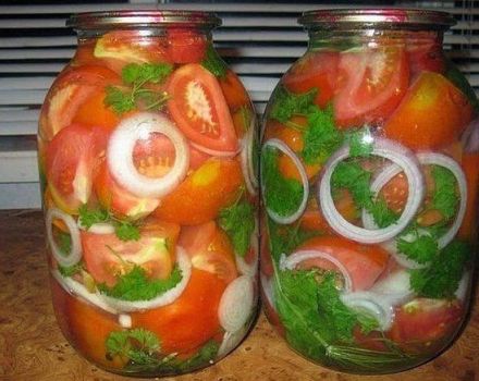11 best recipes for pickled tomatoes with onions for the winter