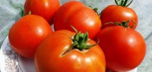 Χαρακτηριστικά και περιγραφή της ποικιλίας ντομάτας του Λαμπραντόρ, της απόδοσής της