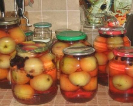 Ein köstliches Rezept für die Herstellung von Apfelkompott für den Winter