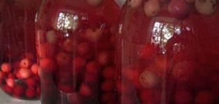 2 једноставна рецепта за прављење кинеског компота за зиму