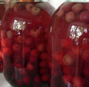 2 enkla recept för att göra kinesisk kompott för vintern