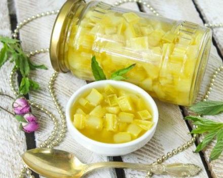 13 läckra recept på vintern zucchini sylt med apelsiner