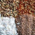 Was ist und Arten von Futtermitteln für Rinder, Zusammensetzung und Rezept, wie viel wird pro Tag benötigt