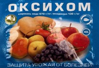Упутство за употребу фунгицида Окихом, количина потрошње и аналози