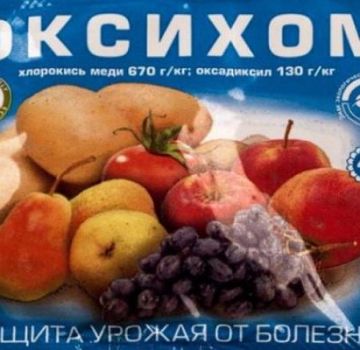 Упутство за употребу фунгицида Окихом, количина потрошње и аналози