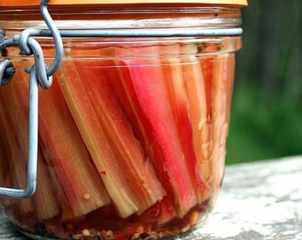 Die besten Rezepte für die Herstellung von Mangold für den Winter, Trocknen, Einfrieren und Beizen