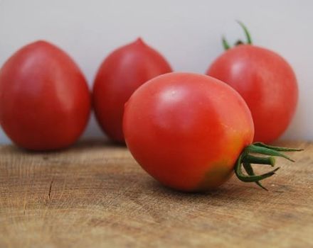 Pomidorų veislės Slavyanka aprašymas, jo savybės ir produktyvumas