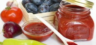 TOP 17 step-by-step cooking recipes, how to make tkemali from plums for the winter