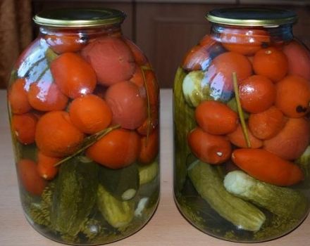 TOP 10 receptov na najrôznejšie uhorky a paradajky na zimu