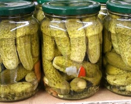 Opskrift til pickling af baby agurker med citronsyre