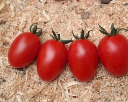 Características e descrição da variedade de tomate Caramelo, características da tecnologia agrícola