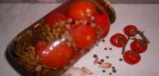 Рецепти за кисели домати с червена касис за зимата