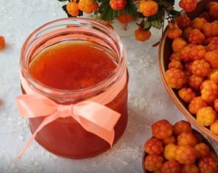 How to properly store cloudberries at home fresh, frozen and preserved