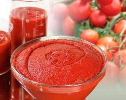 TOP 10 συνταγές για το πώς να φτιάξετε πάστα τομάτας από ντομάτες στο σπίτι