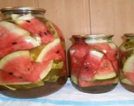 Najlepšie recepty na okamžité varenie solených melónov na zimu so sterilizáciou aj bez nej