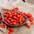 Đặc tính hữu ích và chống chỉ định của cây phúc bồn tử, dùng làm thuốc trong y học cổ truyền