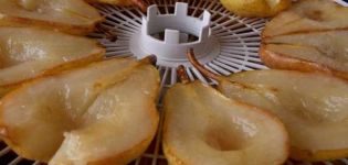 TOP 4 einfache Rezepte für die Herstellung von getrockneten Birnen zu Hause