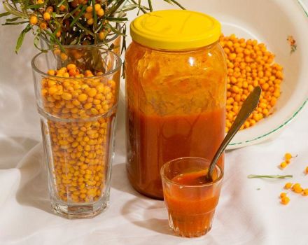 9 receptai, kaip žiemai paruošti košes su šaltalankių ruošiniais su cukrumi