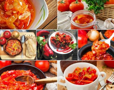 TOP 14 simple recipes for making lecho for the winter at home