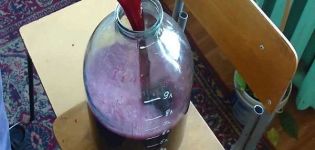 Step-by-step technology on how to make wine with your own hands at home